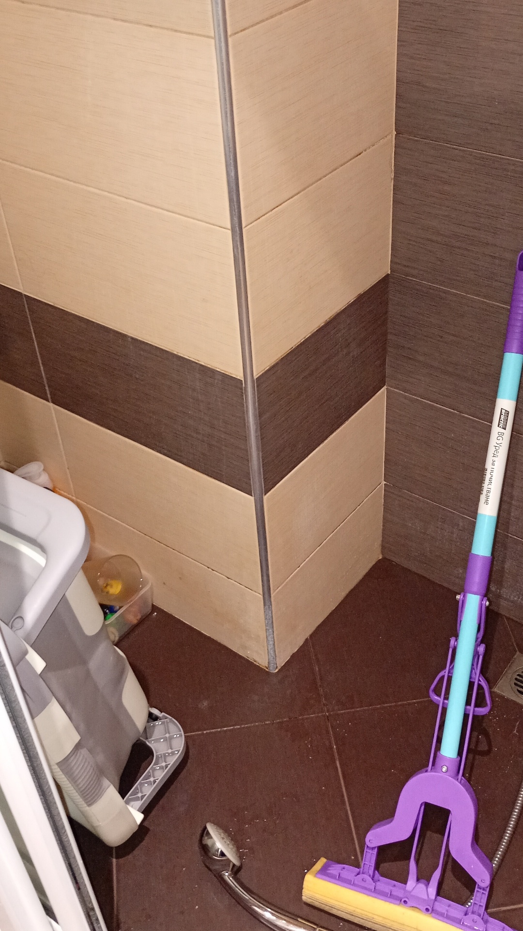 Before photo for Bathroom Cleaning