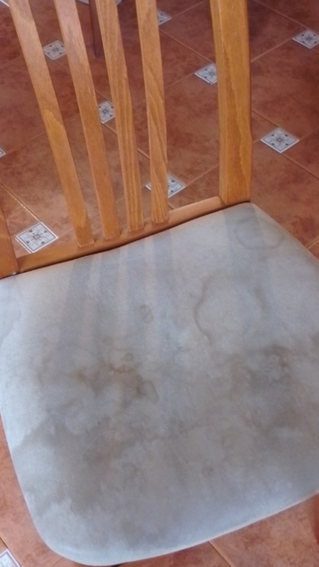 Before photo for Upholstery & Carpet Cleaning