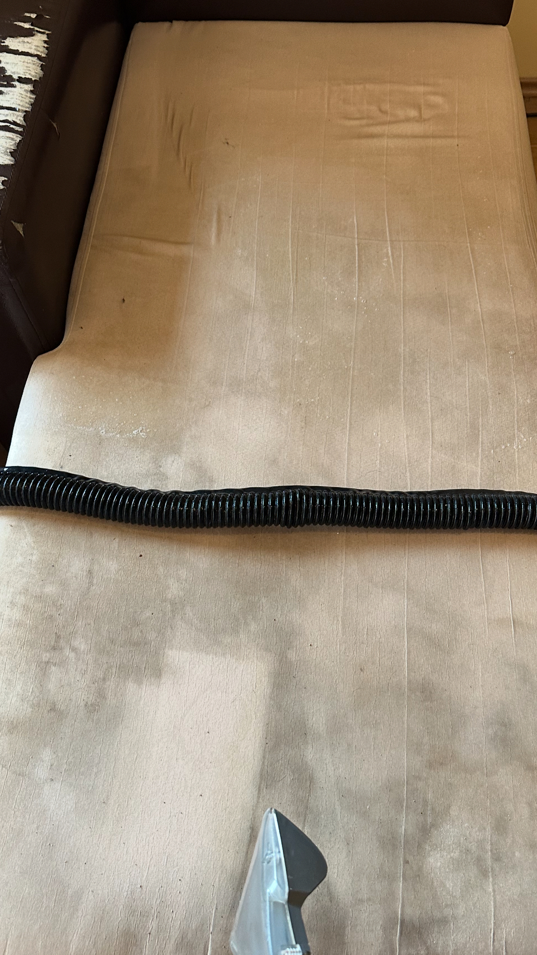 Before photo for Upholstery & Carpet Cleaning