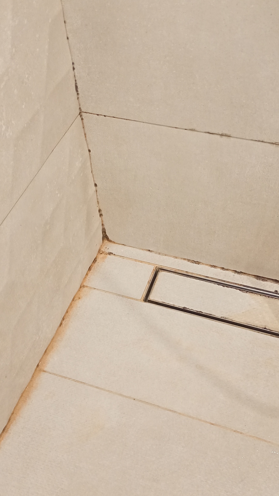 Before photo for Основно почистване