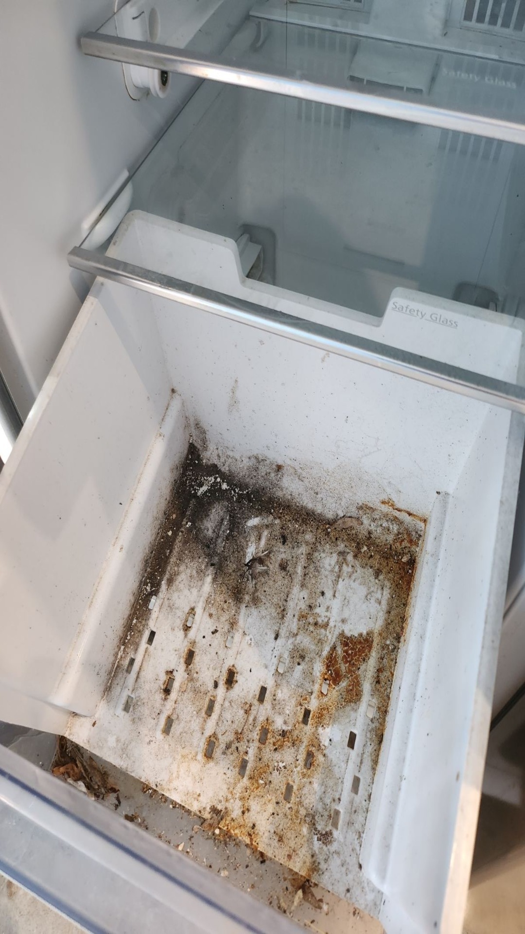 Before photo for Почистване на фурна