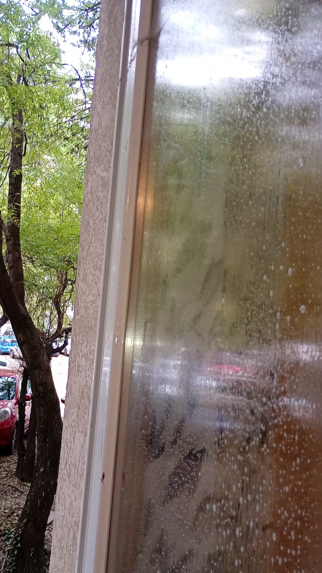 Before photo for Основно почистване