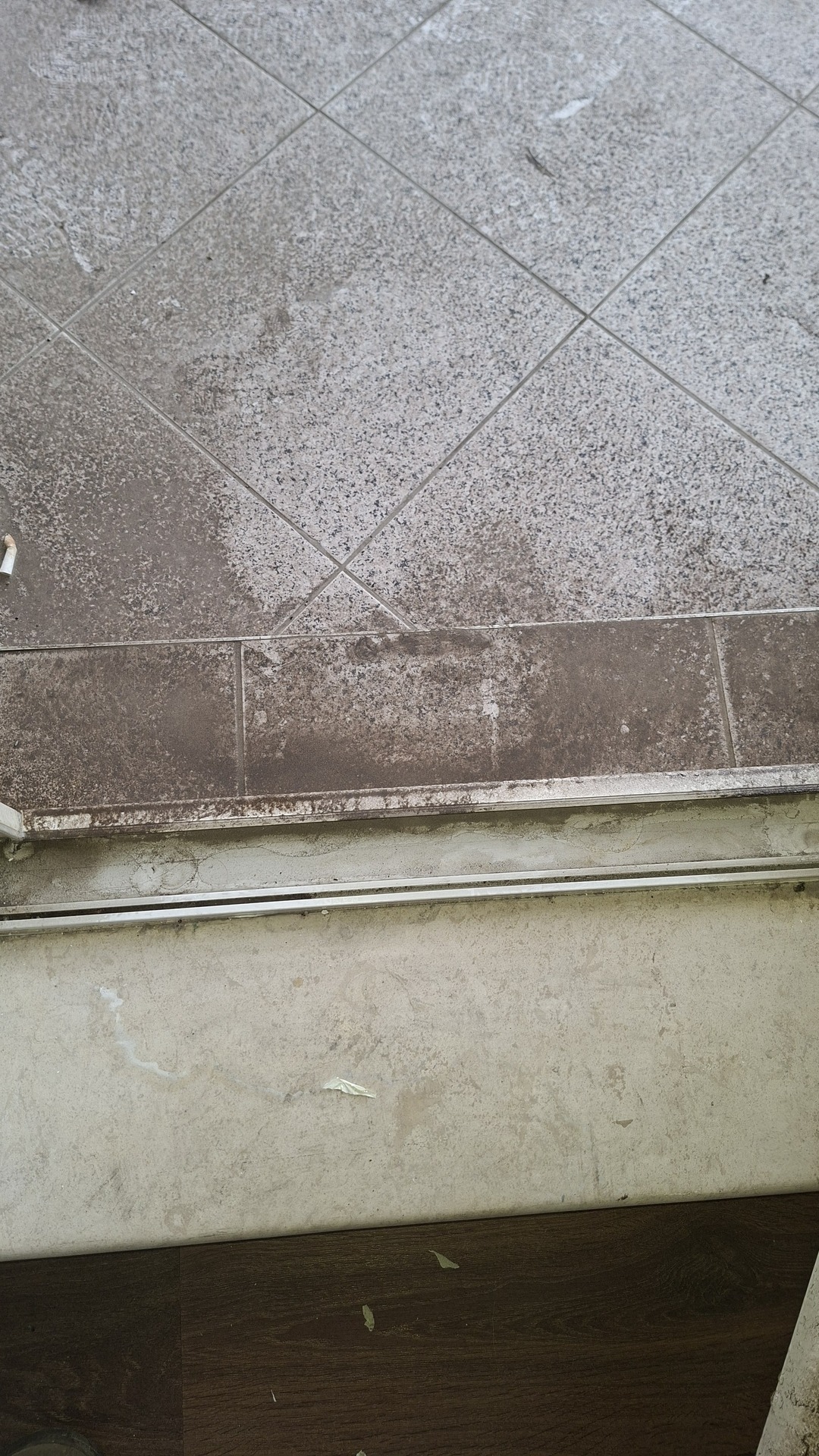 Before photo for Deep Cleaning