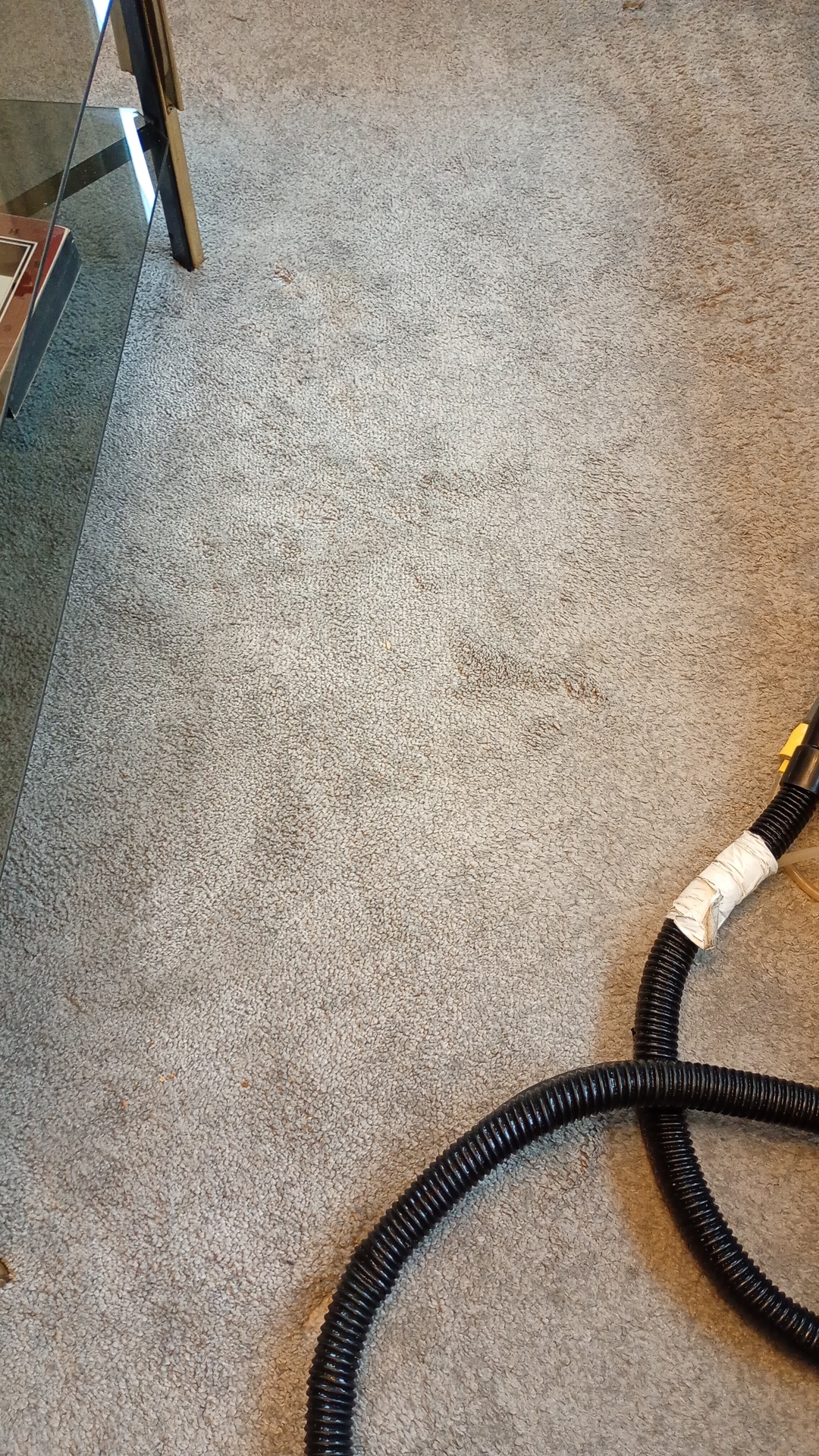 Before photo for Upholstery & Carpet Cleaning