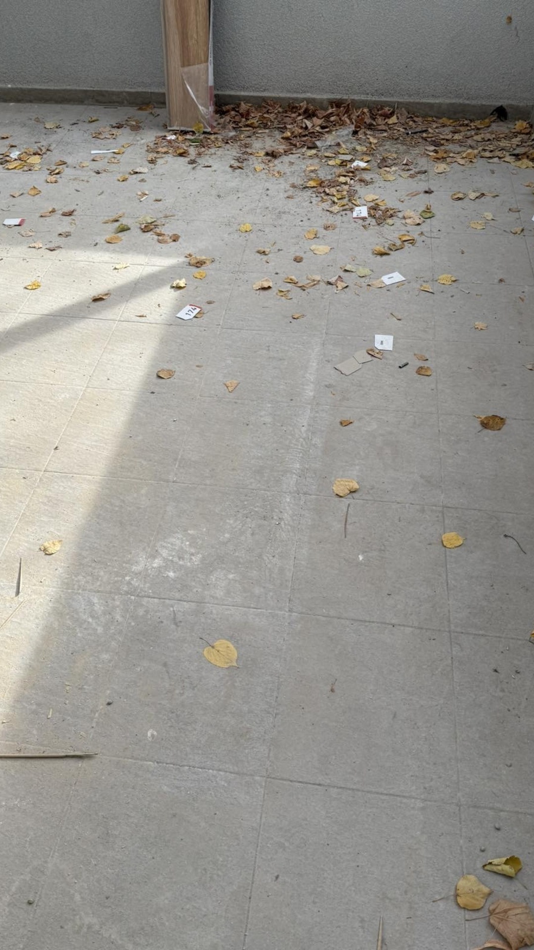 Before photo for Основно почистване