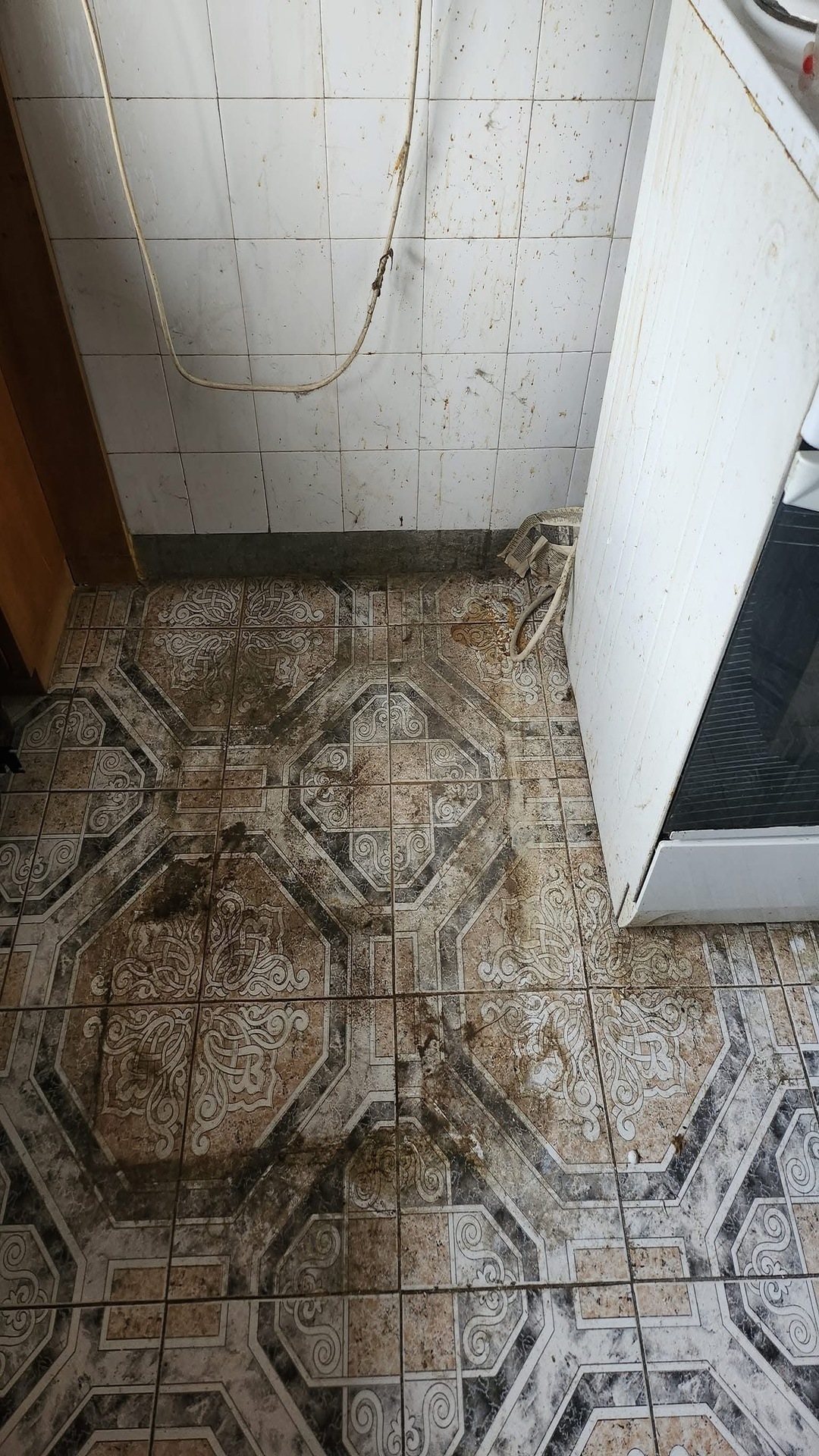 Before photo for Deep Cleaning