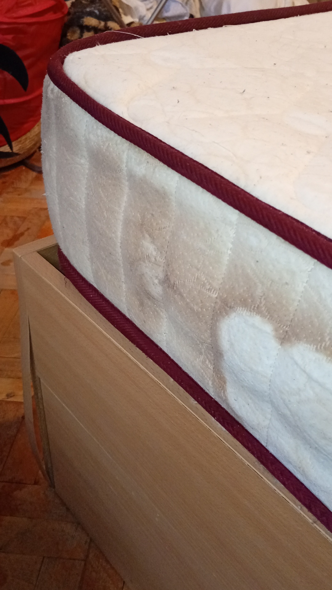 Before photo for Upholstery & Carpet Cleaning