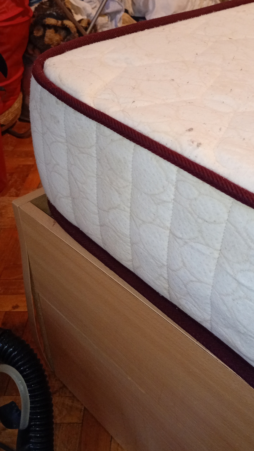 After photo for Upholstery & Carpet Cleaning