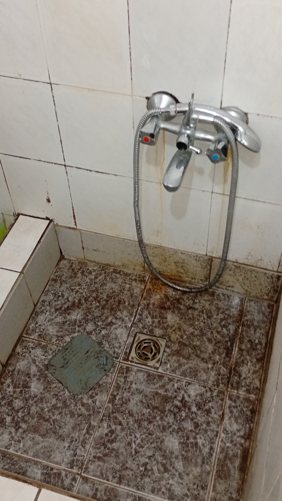 Before photo for Deep Cleaning