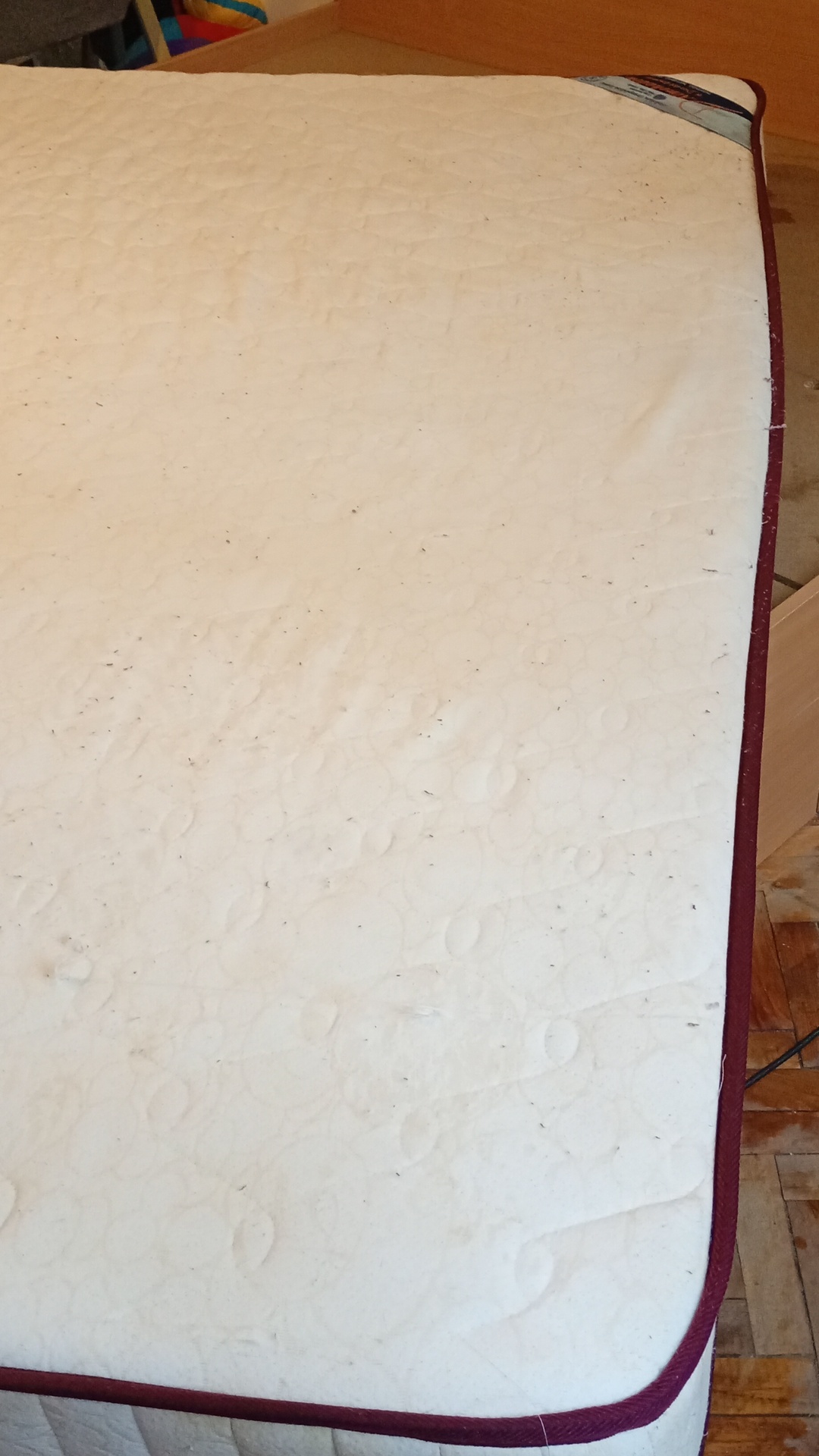 After photo for Upholstery & Carpet Cleaning