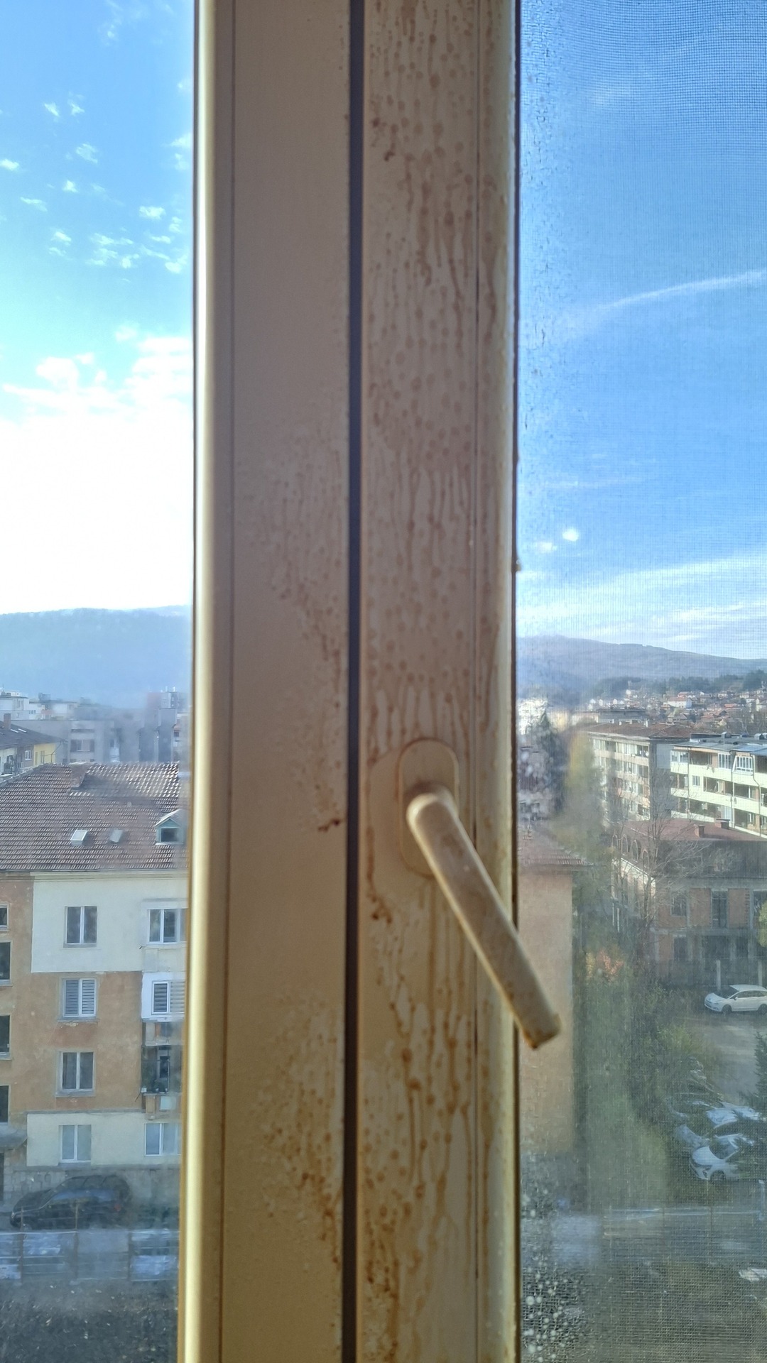 Before photo for Почистване на прозорци