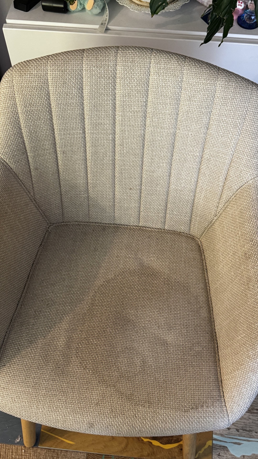 Before photo for Upholstery & Carpet Cleaning