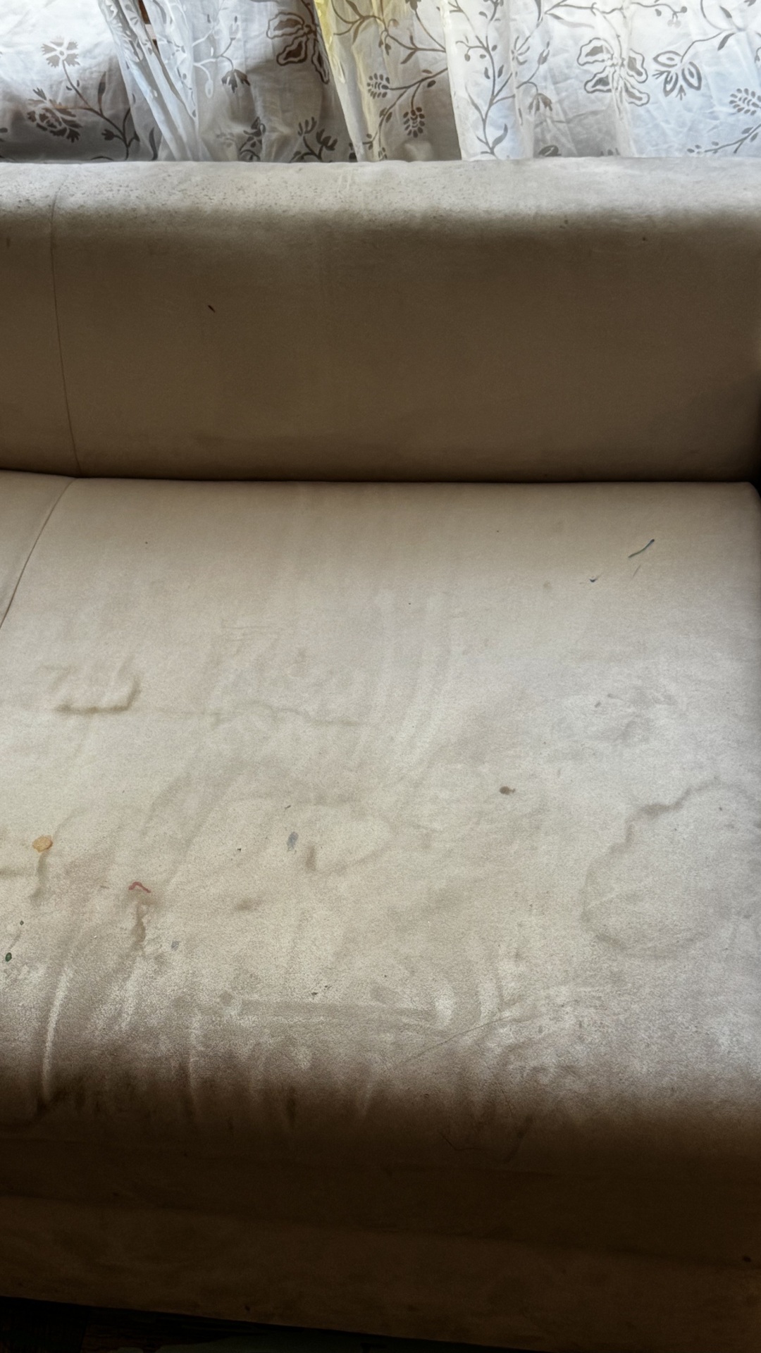 Before photo for Upholstery & Carpet Cleaning