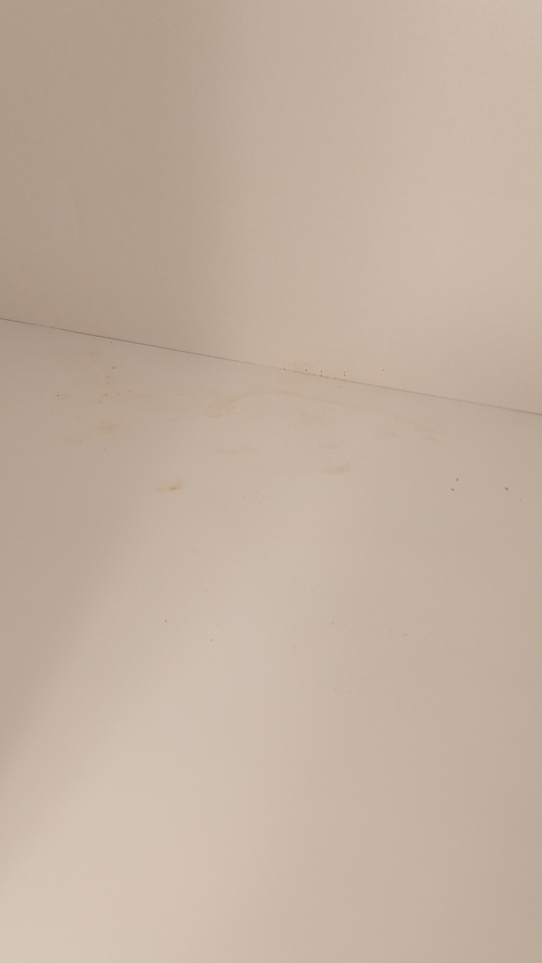 Before photo for After Renovation Cleaning