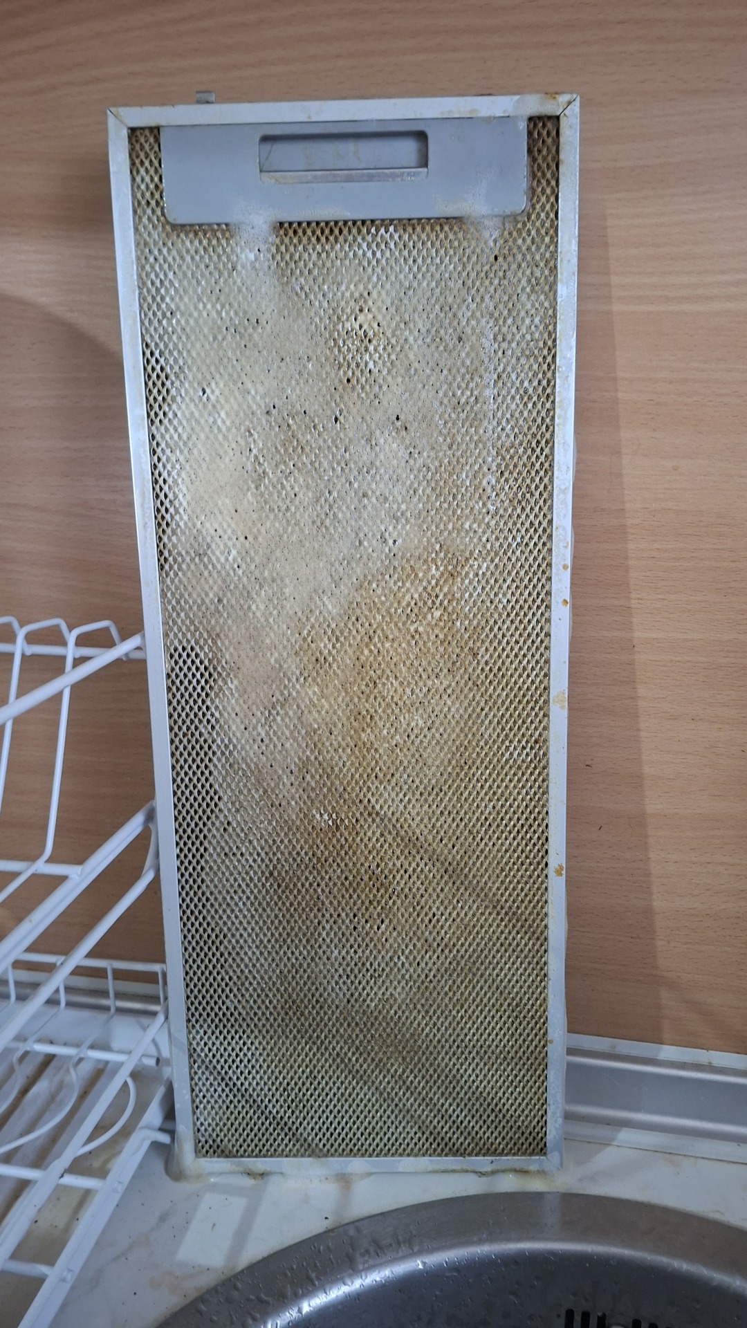 Before photo for Основно почистване