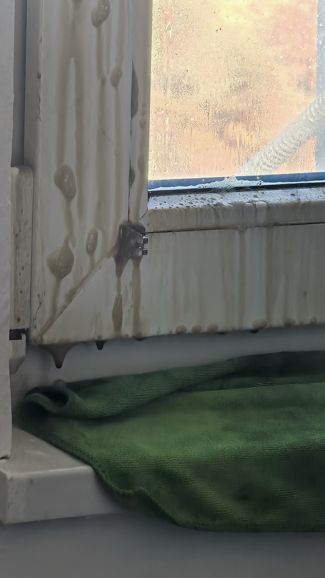 Before photo for Основно почистване