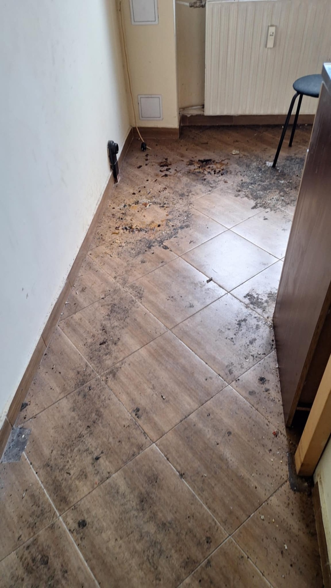 Before photo for Основно почистване