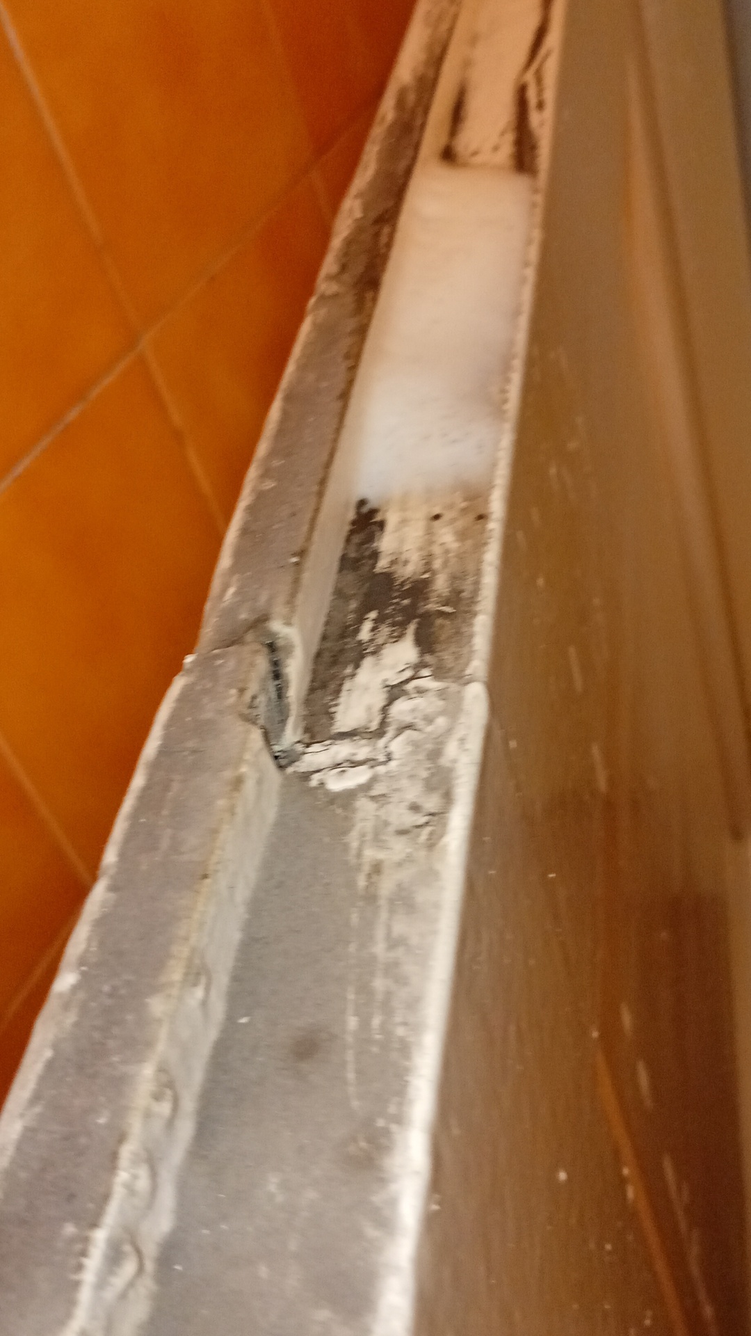 Before photo for Deep Cleaning