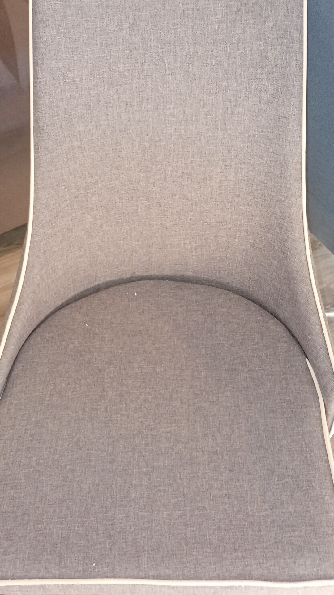 Before photo for Upholstery & Carpet Cleaning