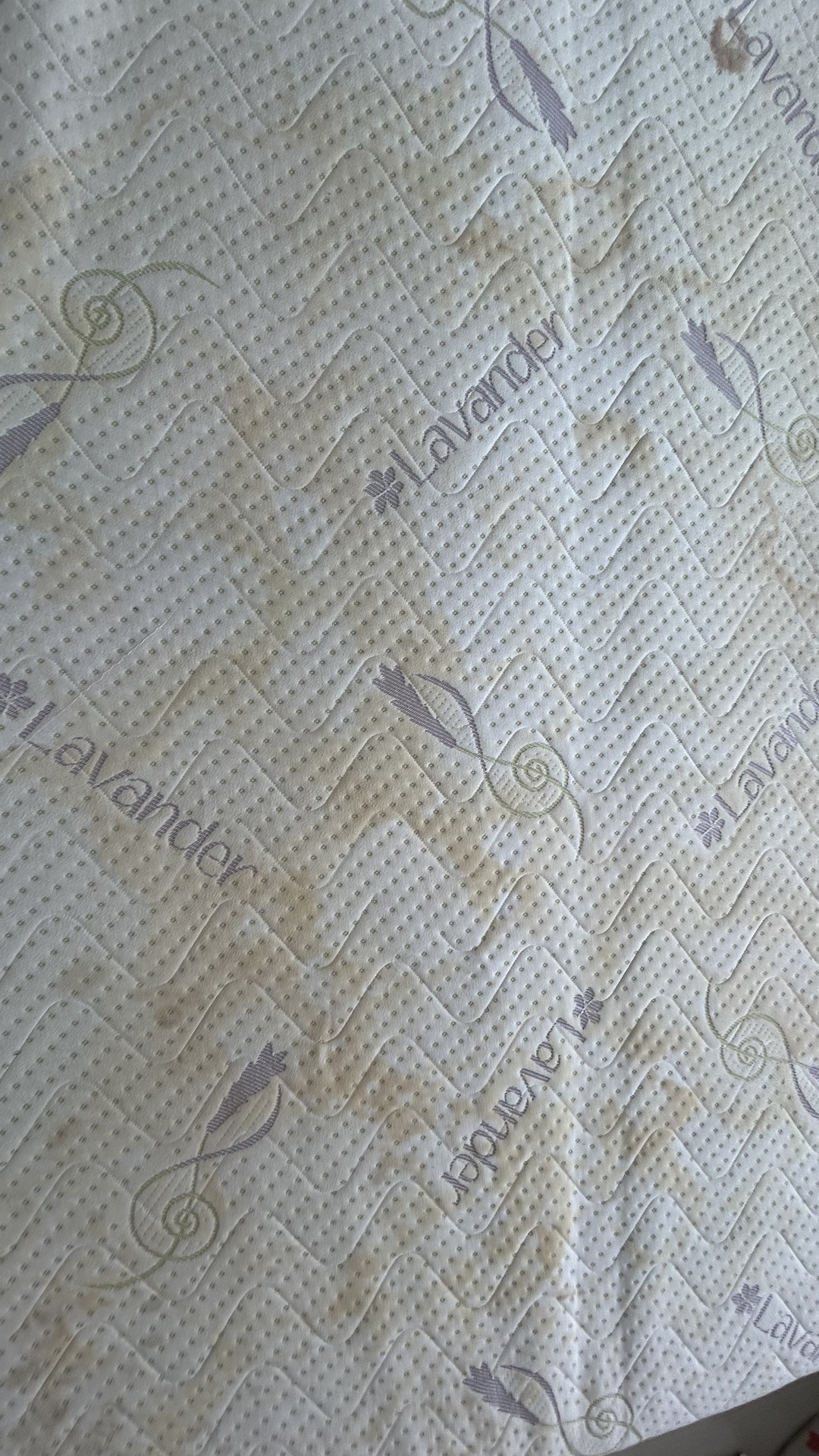 Before photo for Upholstery & Carpet Cleaning